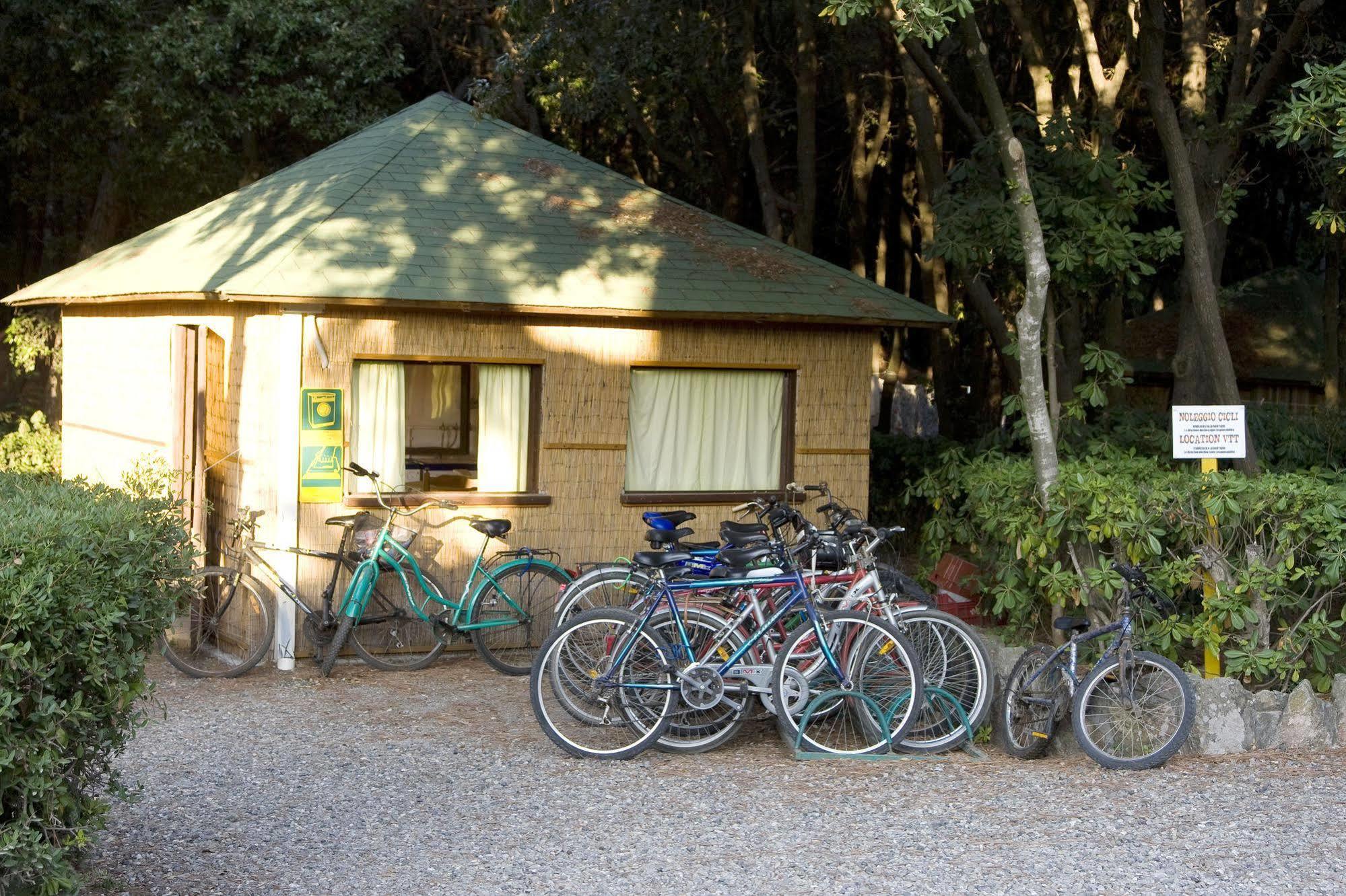 Villaggio Club Cecina Marina di Cecina Eksteriør bilde